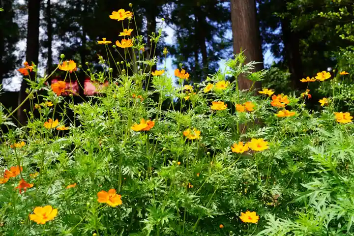 豊景神社の自然