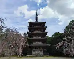 醍醐寺(京都府)