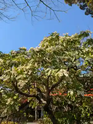 城南宮(京都府)