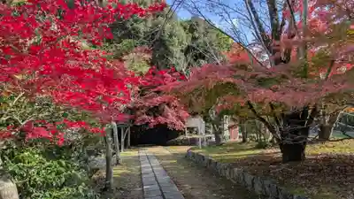 勝持寺（花の寺）(京都府)