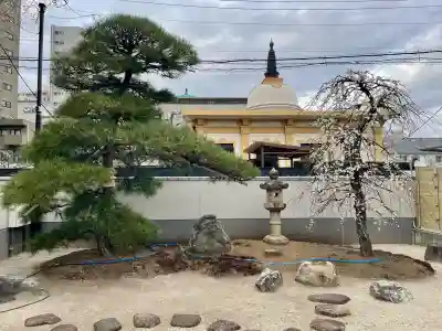 専西寺の{uncategorized: "未分類", other: "その他", undefined: "問題あり", building: "その他建物", grave: "お墓", sacred_gate: "鳥居", guardian: "狛犬", statue: "像", buddha: "仏像", history: "歴史", nature: "自然", garden: "庭園", animal: "動物", pagoda: "塔", temizu: "手水舎", mountain_gate: "山門・神門", sanctuary: "本殿・本堂", subordinate: "末社・摂社", art: "芸術", scenery: "景色", jizo: "地蔵", ema: "絵馬", goshuin: "御朱印", omikuji: "おみくじ", items: "授与品その他", amulet: "お守り", goshuincho: "御朱印帳", eats: "食事", festival: "お祭り", votive_dance: "神楽", shichigosan: "七五三参", wedding: "結婚式", experience: "体験その他", initially: "初詣", around: "周辺", anti_infection: "感染症対策"}