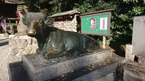 谷保天満宮の狛犬