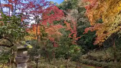 来迎院(京都府)