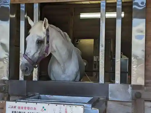 多度大社(三重県)