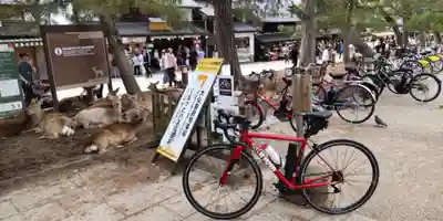 東大寺(奈良県)
