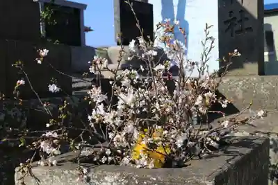 熊野福藏神社の手水舎