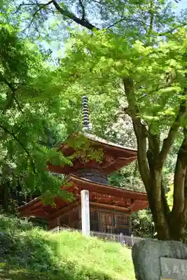 武蔵二宮 金鑚神社(埼玉県)