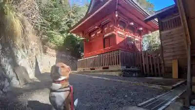 大國魂神社の本殿・本堂