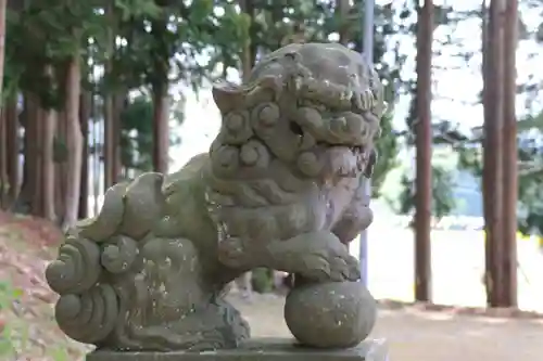 白幡八幡神社の狛犬