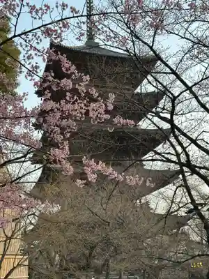 東寺（教王護国寺）(京都府)