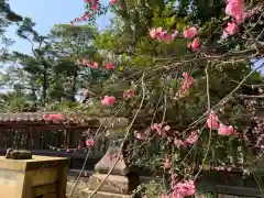 小松天満宮の建物その他