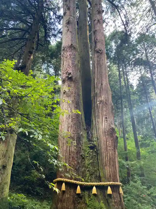 御岩神社の自然