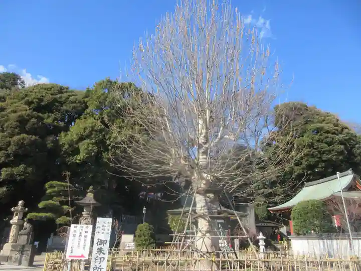 瀧泉寺(目黒不動尊)(東京都)