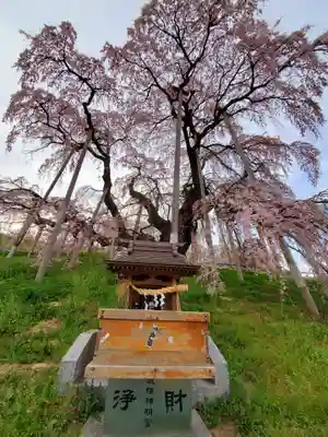 瀧桜神明宮(福島県)