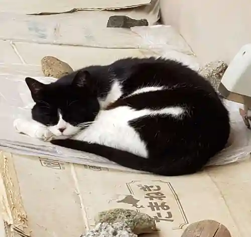 白金氷川神社(東京都)