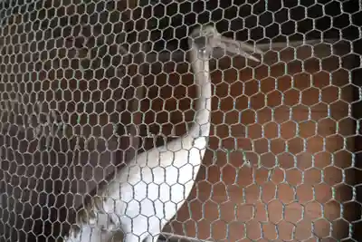 白鳥神社(香川県)