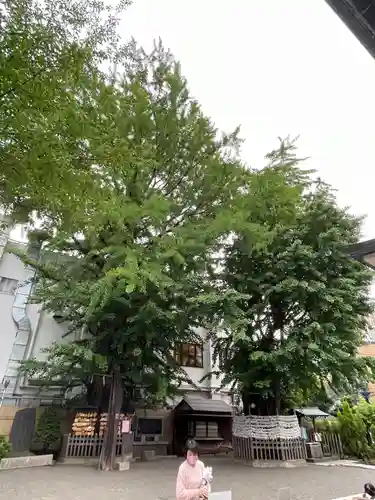 天祖神社の自然