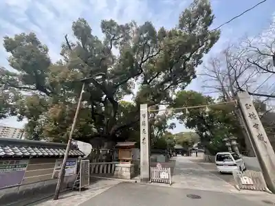 杭全神社(大阪府)
