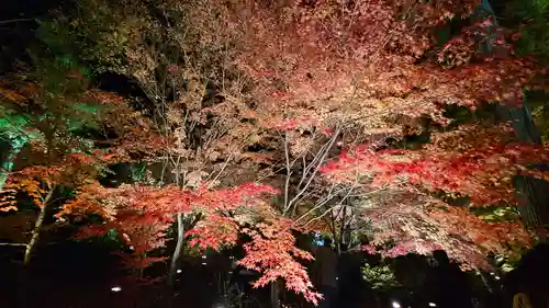 宝厳院(京都府)