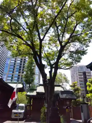 鐵砲洲稲荷神社(東京都)