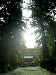 北口本宮冨士浅間神社の鳥居