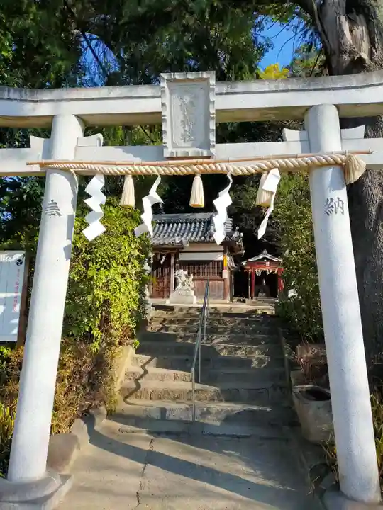 津堂八幡神社(大阪府)
