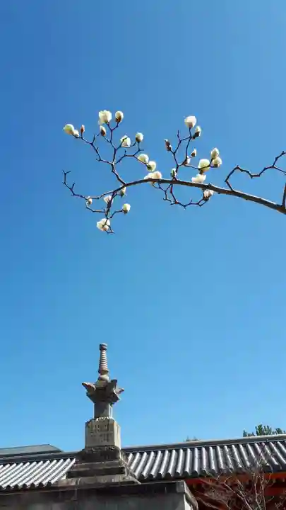 蓮華王院(三十三間堂)(京都府)