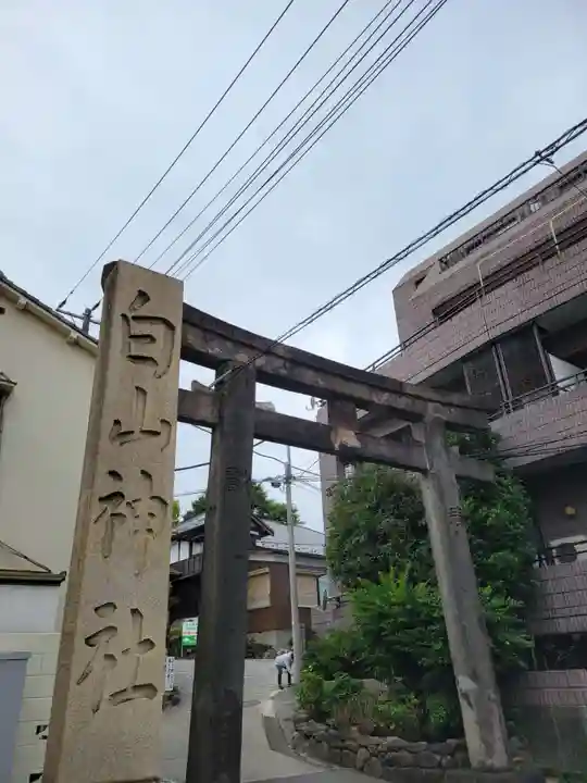 白山神社(東京都)