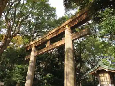 明治神宮の鳥居