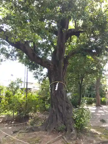 賣太神社(奈良県)