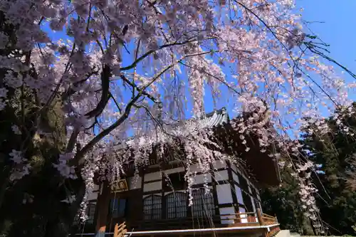 円通寺の庭園