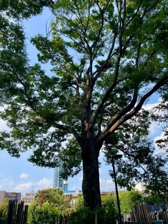 祥雲寺(東京都)