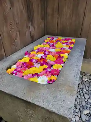 菅生神社(愛知県)