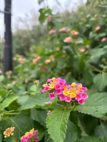 江島神社の自然
