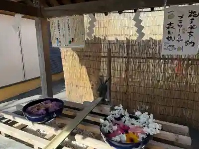 清瀧神社の{uncategorized: "未分類", other: "その他", undefined: "問題あり", building: "その他建物", grave: "お墓", sacred_gate: "鳥居", guardian: "狛犬", statue: "像", buddha: "仏像", history: "歴史", nature: "自然", garden: "庭園", animal: "動物", pagoda: "塔", temizu: "手水舎", mountain_gate: "山門・神門", sanctuary: "本殿・本堂", subordinate: "末社・摂社", art: "芸術", scenery: "景色", jizo: "地蔵", ema: "絵馬", goshuin: "御朱印", omikuji: "おみくじ", items: "授与品その他", amulet: "お守り", goshuincho: "御朱印帳", eats: "食事", festival: "お祭り", votive_dance: "神楽", shichigosan: "七五三参", wedding: "結婚式", experience: "体験その他", initially: "初詣", around: "周辺", anti_infection: "感染症対策"}