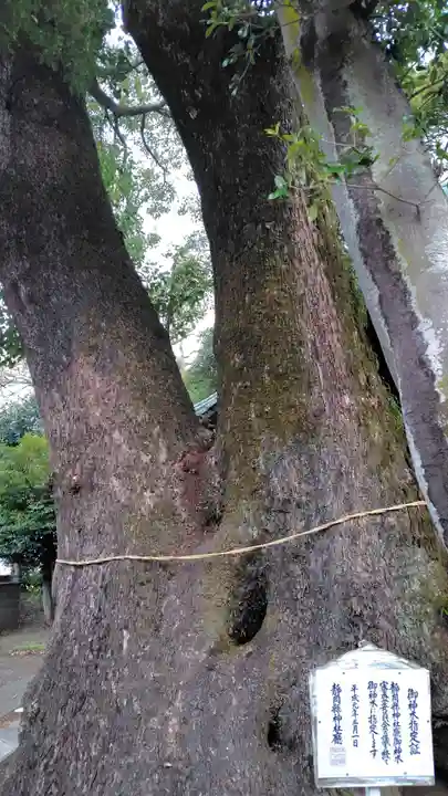 八幡宮(静岡県)