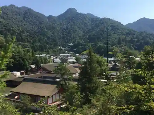 豊国神社 の景色