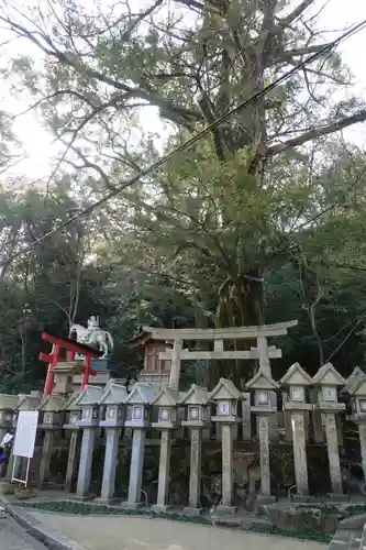 朝護孫子寺の鳥居