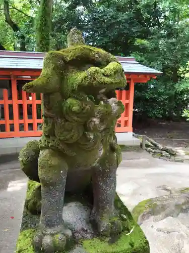 住吉神社の狛犬