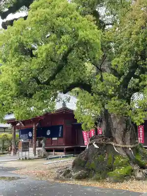 観音寺(香川県)