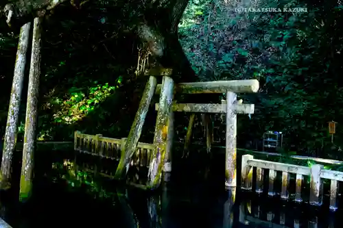 奥宮(鹿島神宮摂社)(茨城県)