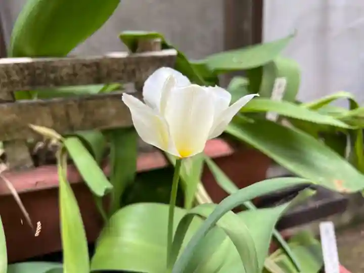 大宮温泉神社(栃木県)