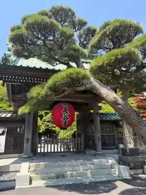 長谷寺の{uncategorized: "未分類", other: "その他", undefined: "問題あり", building: "その他建物", grave: "お墓", sacred_gate: "鳥居", guardian: "狛犬", statue: "像", buddha: "仏像", history: "歴史", nature: "自然", garden: "庭園", animal: "動物", pagoda: "塔", temizu: "手水舎", mountain_gate: "山門・神門", sanctuary: "本殿・本堂", subordinate: "末社・摂社", art: "芸術", scenery: "景色", jizo: "地蔵", ema: "絵馬", goshuin: "御朱印", omikuji: "おみくじ", items: "授与品その他", amulet: "お守り", goshuincho: "御朱印帳", eats: "食事", festival: "お祭り", votive_dance: "神楽", shichigosan: "七五三参", wedding: "結婚式", experience: "体験その他", initially: "初詣", around: "周辺", anti_infection: "感染症対策"}