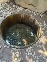 明治神宮の{uncategorized: "未分類", other: "その他", undefined: "問題あり", building: "その他建物", grave: "お墓", sacred_gate: "鳥居", guardian: "狛犬", statue: "像", buddha: "仏像", history: "歴史", nature: "自然", garden: "庭園", animal: "動物", pagoda: "塔", temizu: "手水舎", mountain_gate: "山門・神門", sanctuary: "本殿・本堂", subordinate: "末社・摂社", art: "芸術", scenery: "景色", jizo: "地蔵", ema: "絵馬", goshuin: "御朱印", omikuji: "おみくじ", items: "授与品その他", amulet: "お守り", goshuincho: "御朱印帳", eats: "食事", festival: "お祭り", votive_dance: "神楽", shichigosan: "七五三参", wedding: "結婚式", experience: "体験その他", initially: "初詣", around: "周辺", anti_infection: "感染症対策"}