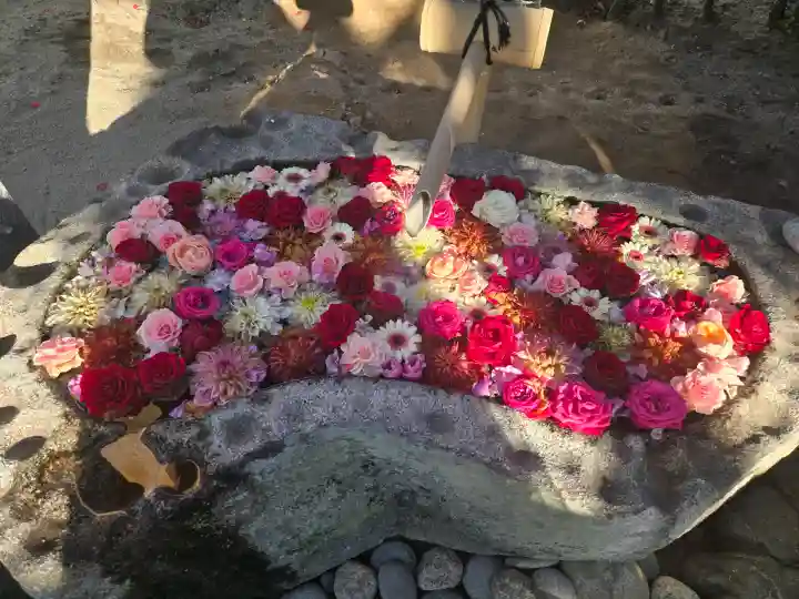 浄誓寺の{uncategorized: "未分類", other: "その他", undefined: "問題あり", building: "その他建物", grave: "お墓", sacred_gate: "鳥居", guardian: "狛犬", statue: "像", buddha: "仏像", history: "歴史", nature: "自然", garden: "庭園", animal: "動物", pagoda: "塔", temizu: "手水舎", mountain_gate: "山門・神門", sanctuary: "本殿・本堂", subordinate: "末社・摂社", art: "芸術", scenery: "景色", jizo: "地蔵", ema: "絵馬", goshuin: "御朱印", omikuji: "おみくじ", items: "授与品その他", amulet: "お守り", goshuincho: "御朱印帳", eats: "食事", festival: "お祭り", votive_dance: "神楽", shichigosan: "七五三参", wedding: "結婚式", experience: "体験その他", initially: "初詣", around: "周辺", anti_infection: "感染症対策"}