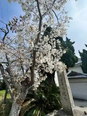 道成寺　奥の院観音堂の{uncategorized: "未分類", other: "その他", undefined: "問題あり", building: "その他建物", grave: "お墓", sacred_gate: "鳥居", guardian: "狛犬", statue: "像", buddha: "仏像", history: "歴史", nature: "自然", garden: "庭園", animal: "動物", pagoda: "塔", temizu: "手水舎", mountain_gate: "山門・神門", sanctuary: "本殿・本堂", subordinate: "末社・摂社", art: "芸術", scenery: "景色", jizo: "地蔵", ema: "絵馬", goshuin: "御朱印", omikuji: "おみくじ", items: "授与品その他", amulet: "お守り", goshuincho: "御朱印帳", eats: "食事", festival: "お祭り", votive_dance: "神楽", shichigosan: "七五三参", wedding: "結婚式", experience: "体験その他", initially: "初詣", around: "周辺", anti_infection: "感染症対策"}
