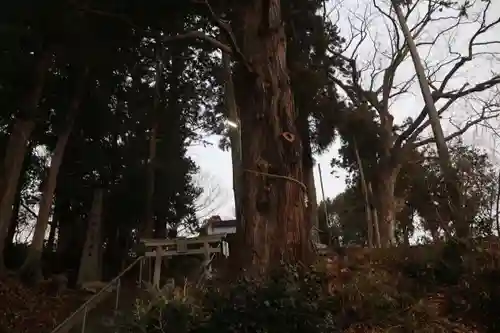 阿久津「田村神社」（郡山市阿久津町）旧社名：伊豆箱根三嶋三社の景色