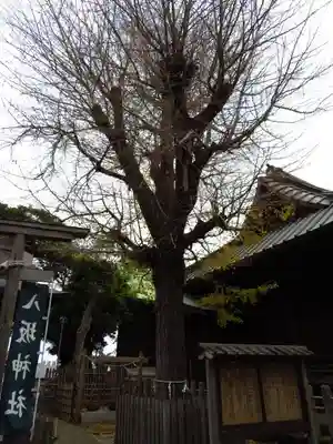 八王子神社のその他建物
