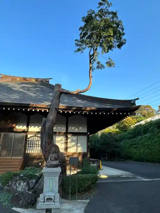 大福寺(東京都)