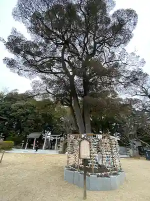 阿智神社(岡山県)